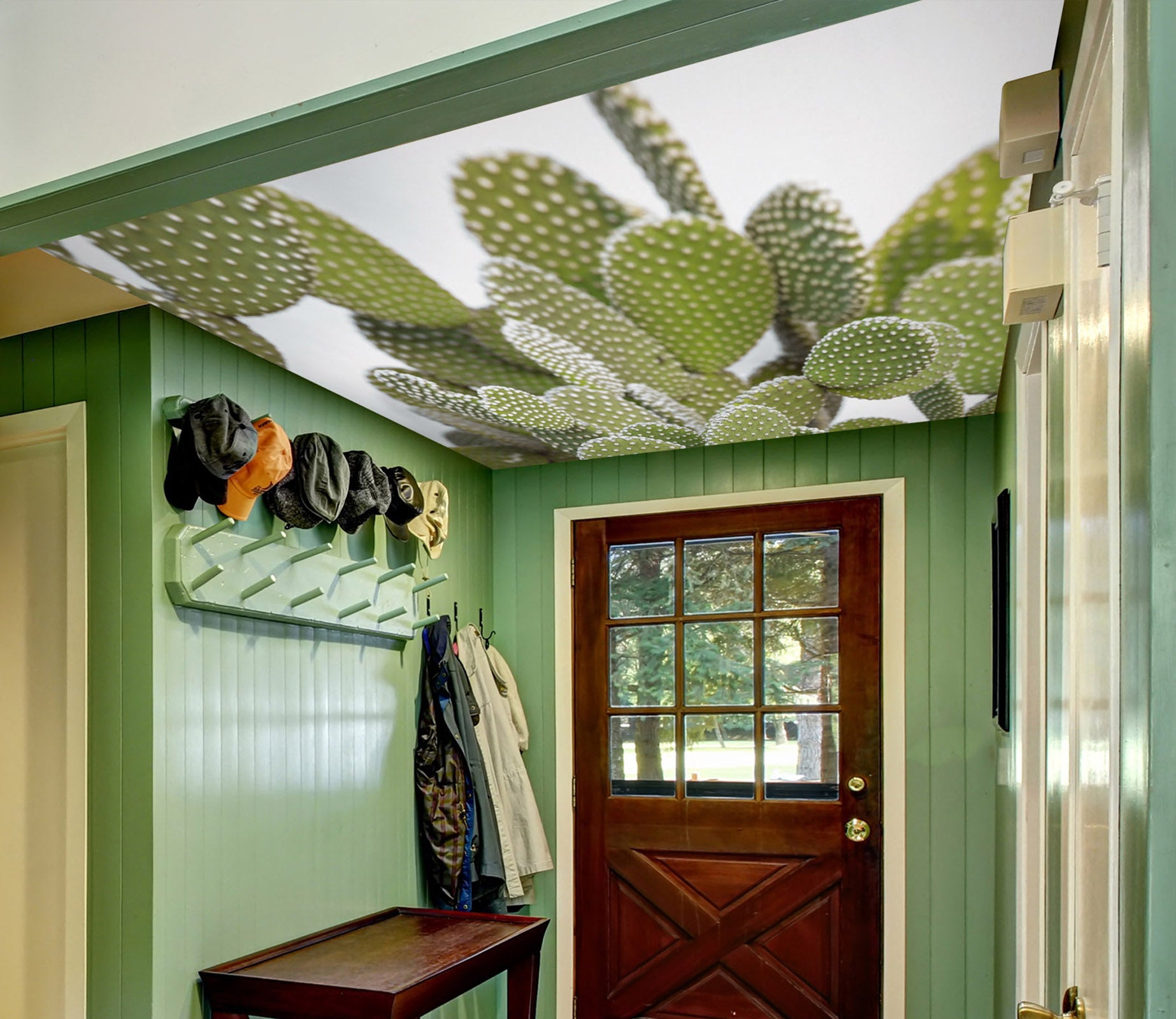 3D Green Cactus 2588 Assaf Frank Ceiling Wallpaper Murals