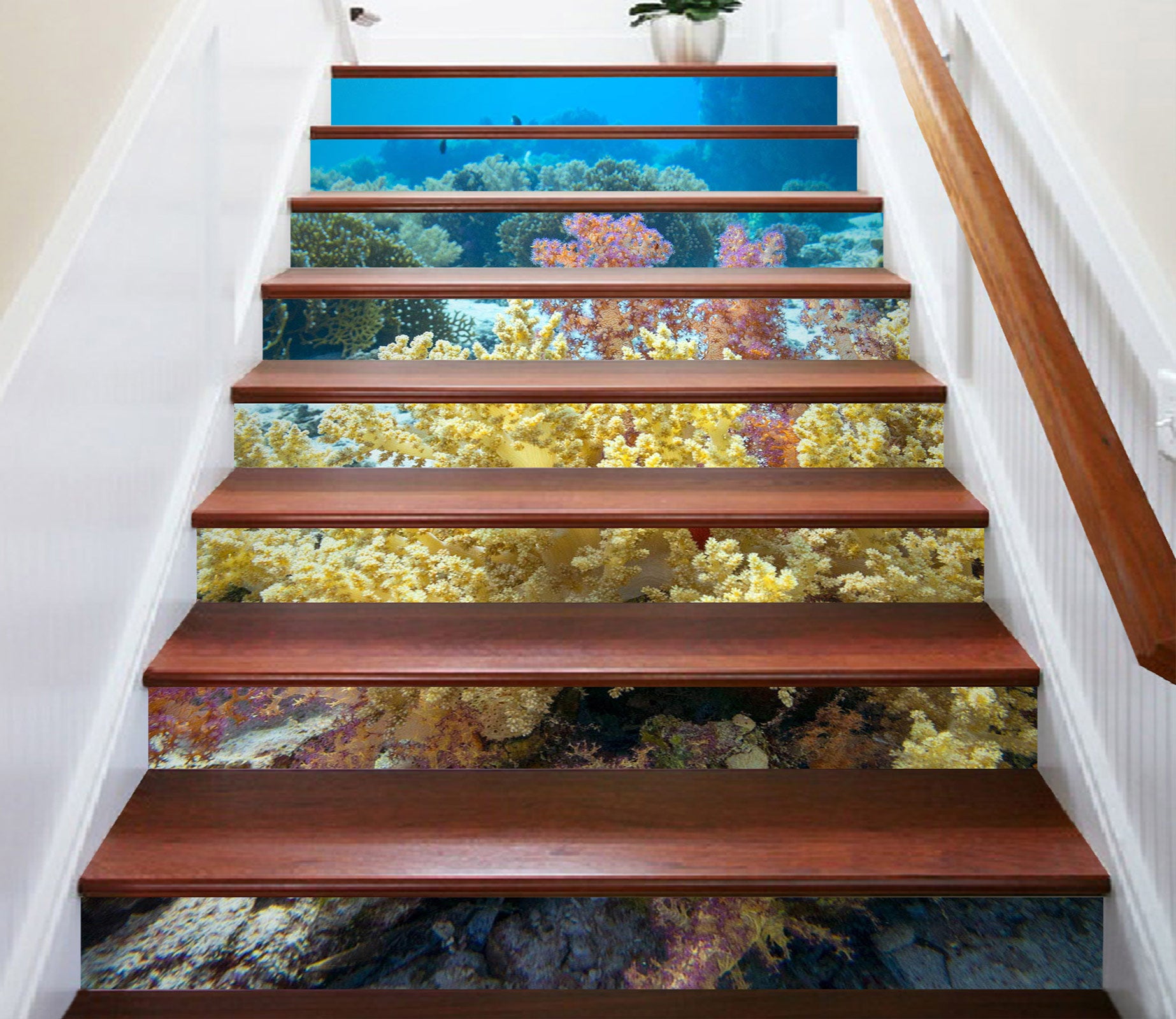 3D Gorgeous Seaweed 378 Stair Risers