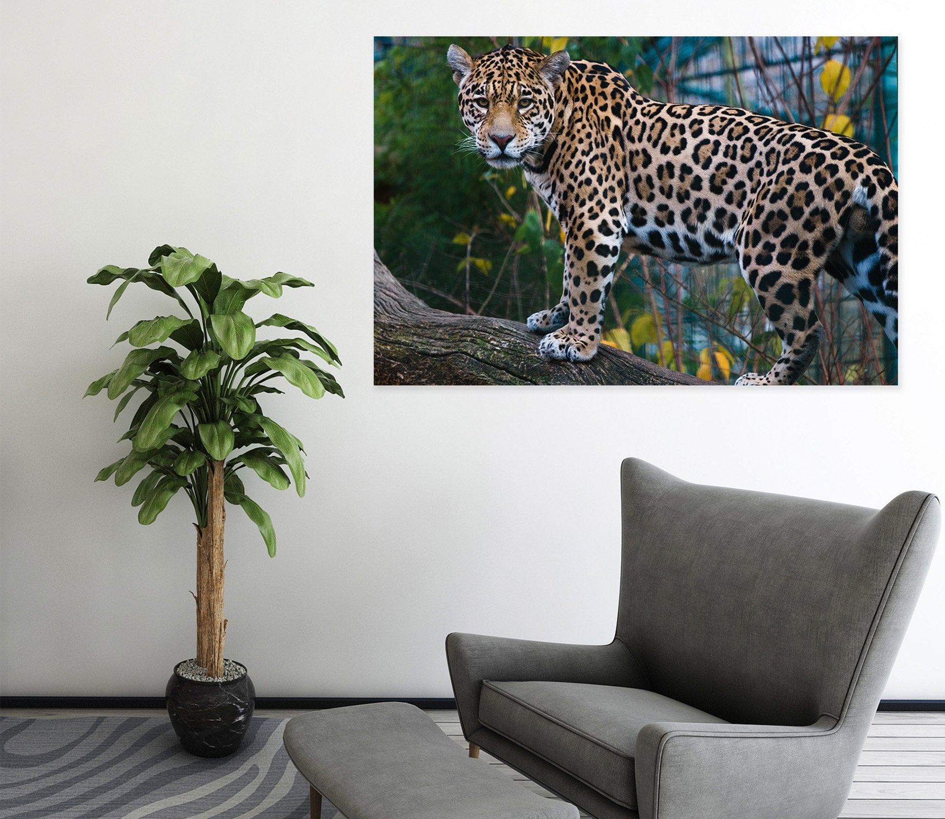 3D Forest Tiger 28 Animal Wall Stickers