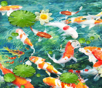 3D Goldfish Floor Mural  Non-slip, Waterproof  & Removable Rug Mat & Floor Murals