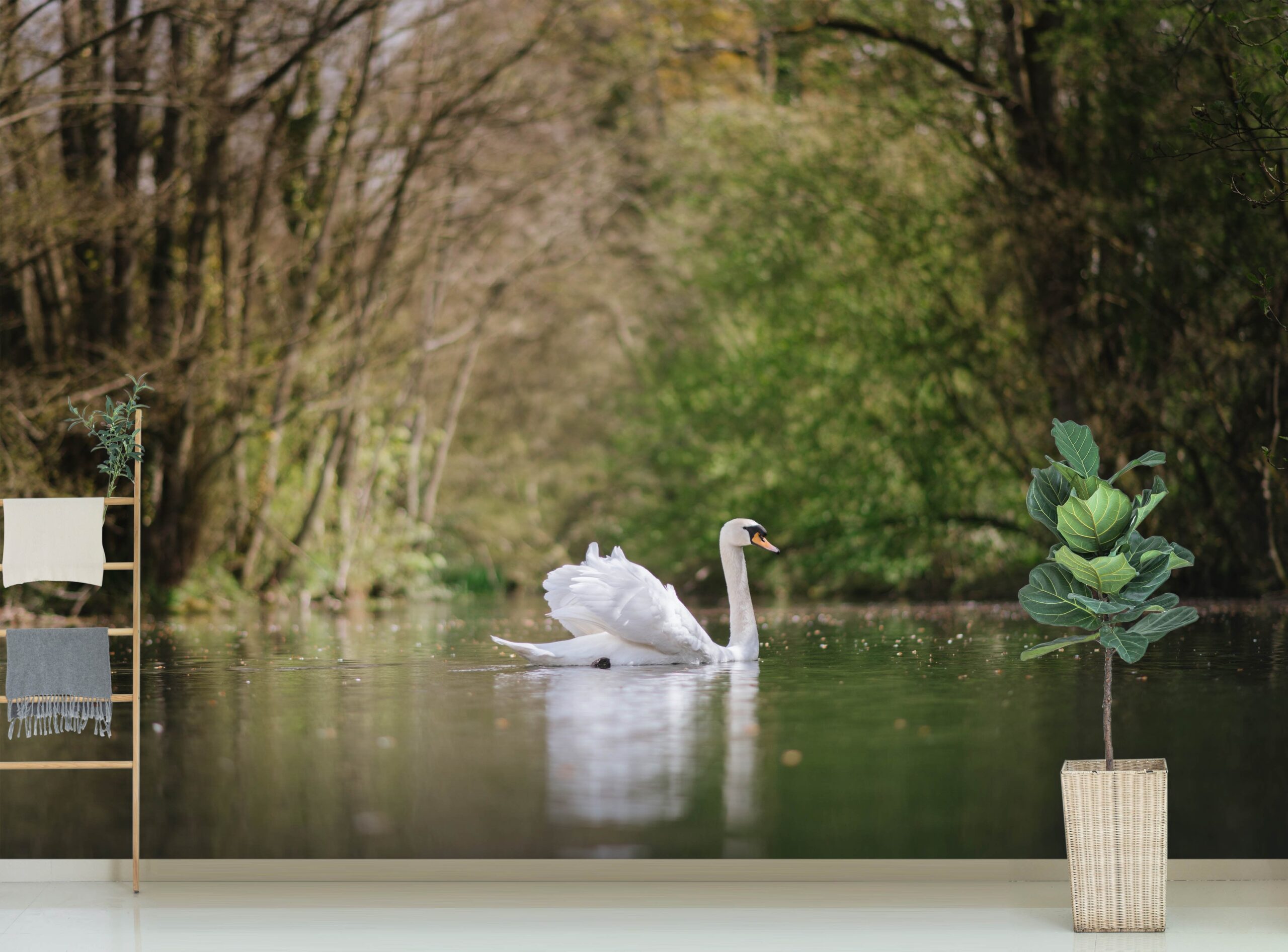 3D Forest Swan 246