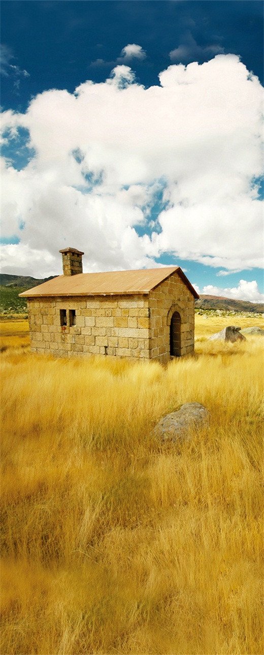 3D grassland field stone house door mural