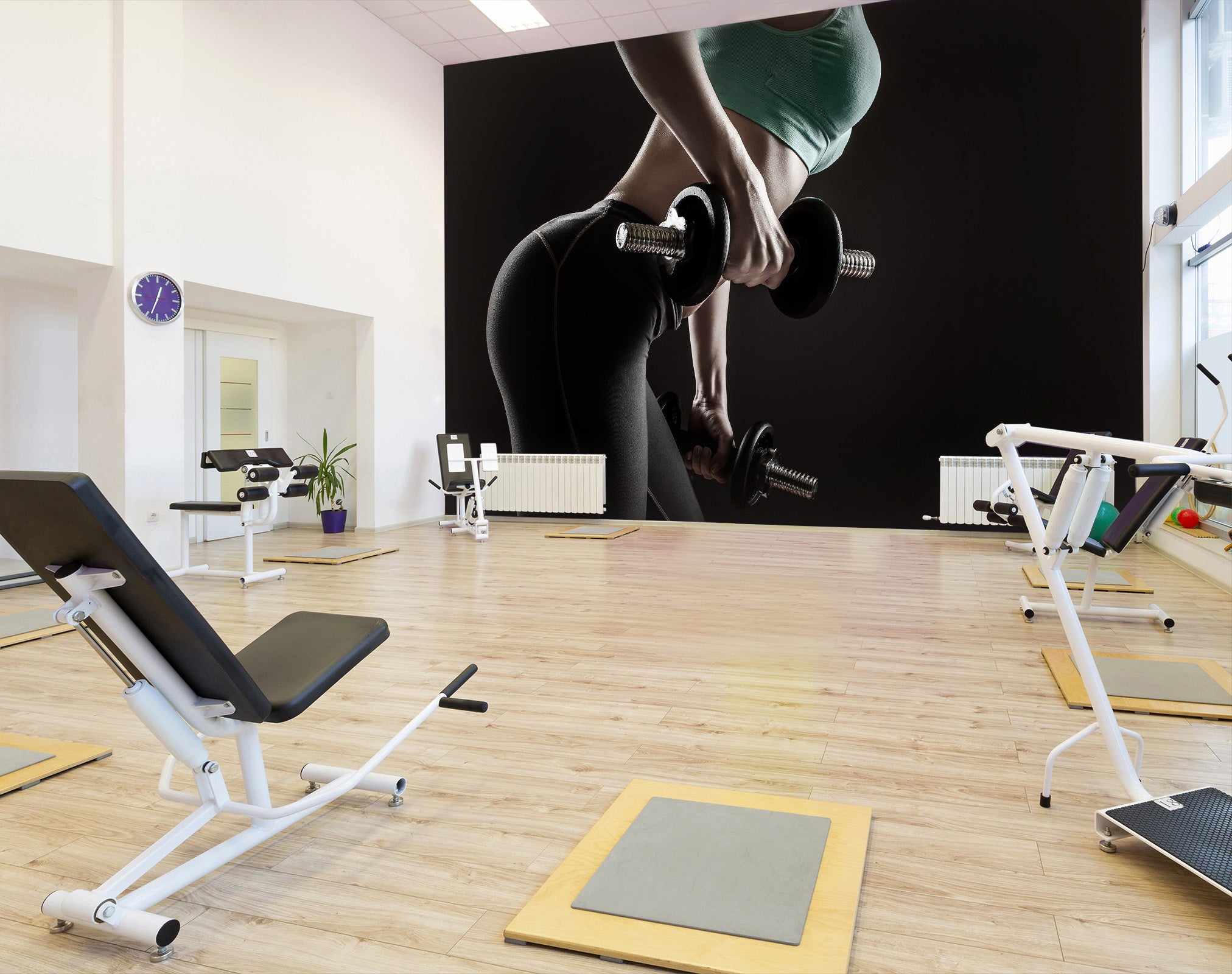 3D Girl Dumbbell 227 Wall Murals